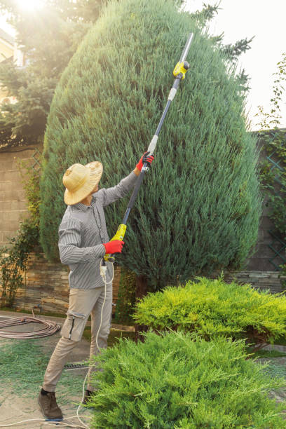 Lawn Watering Services in Lakewood, IL